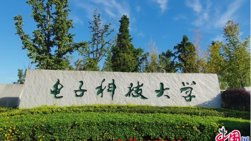 电子元器件：揭秘排名前十的生产厂家