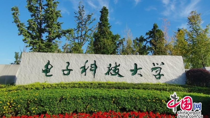 二极管正负极识别：实用技巧与误区解析**